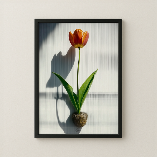 Rootlight