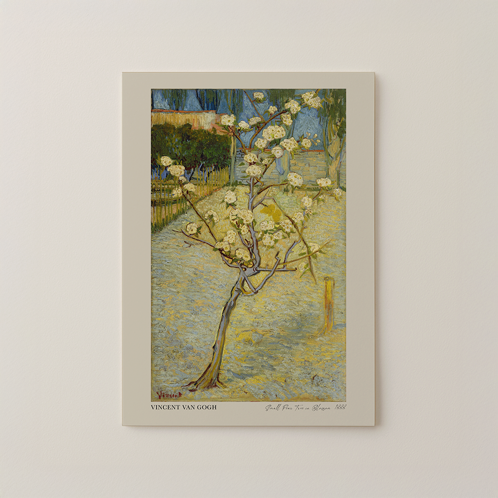 Small Pear Tree in Blossom