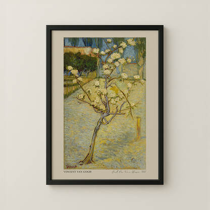 Small Pear Tree in Blossom