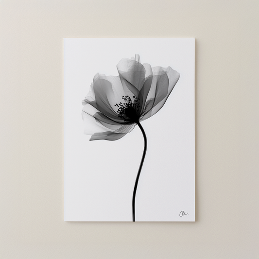 Veil of Petals