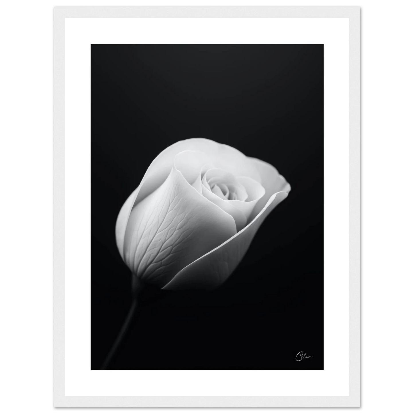 a07757f0-3403-44f9-becb-12920a56a053