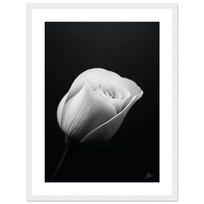 a07757f0-3403-44f9-becb-12920a56a053