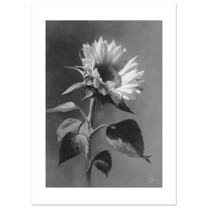 a1e4db4c-7dc9-4f2a-a2f0-6af2a597cec0