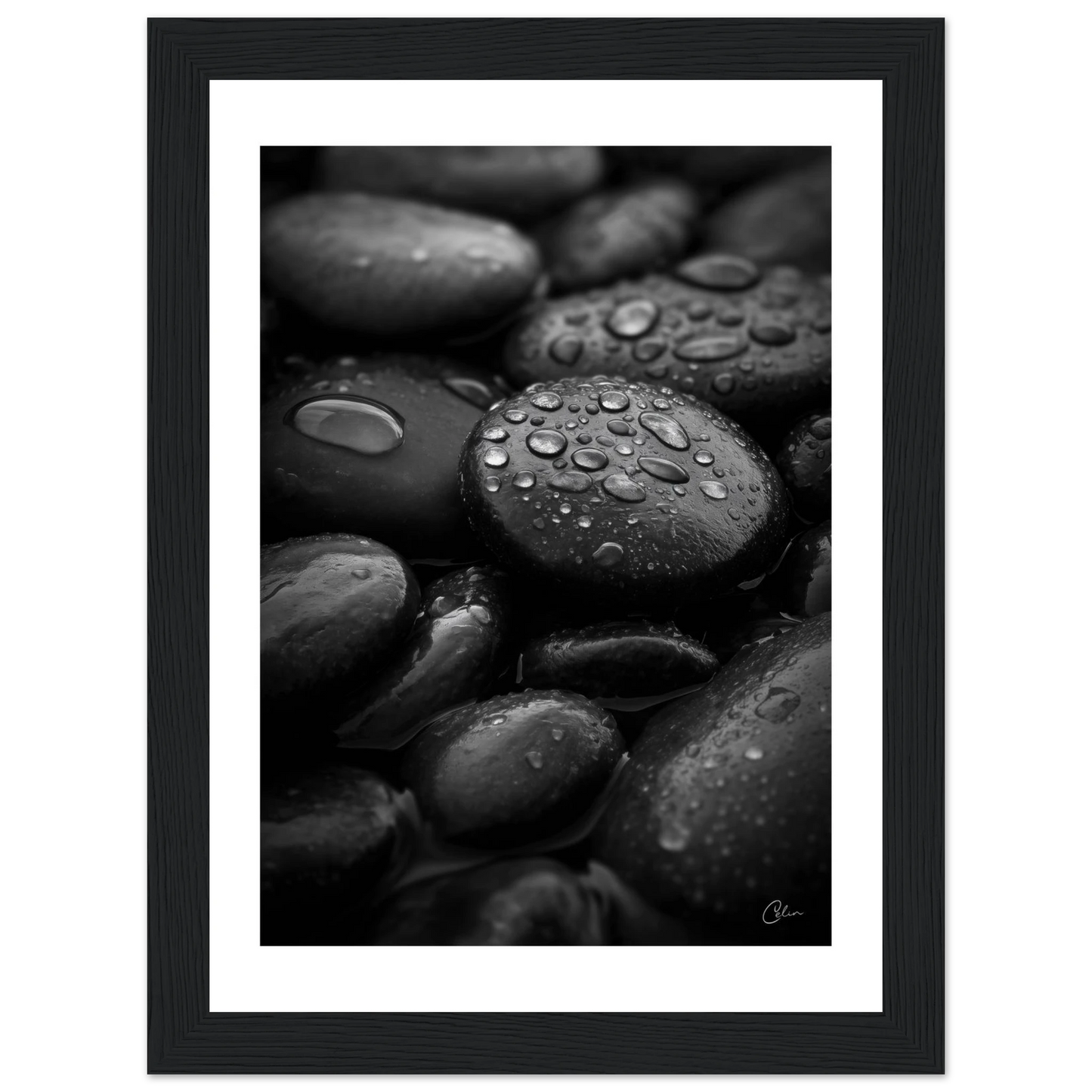 a27d1d21-8b1a-4787-a9d7-bcbca4fb2a72