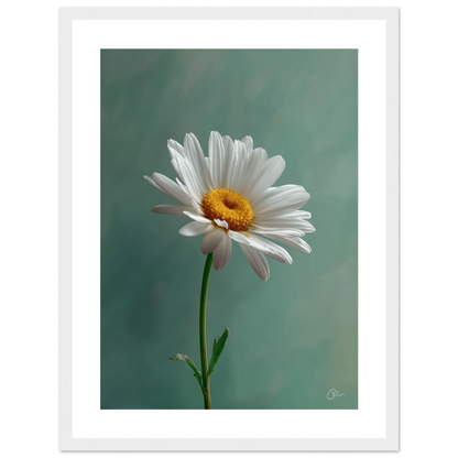 a595a3e4-feb4-43d9-bd12-6ef970b96617