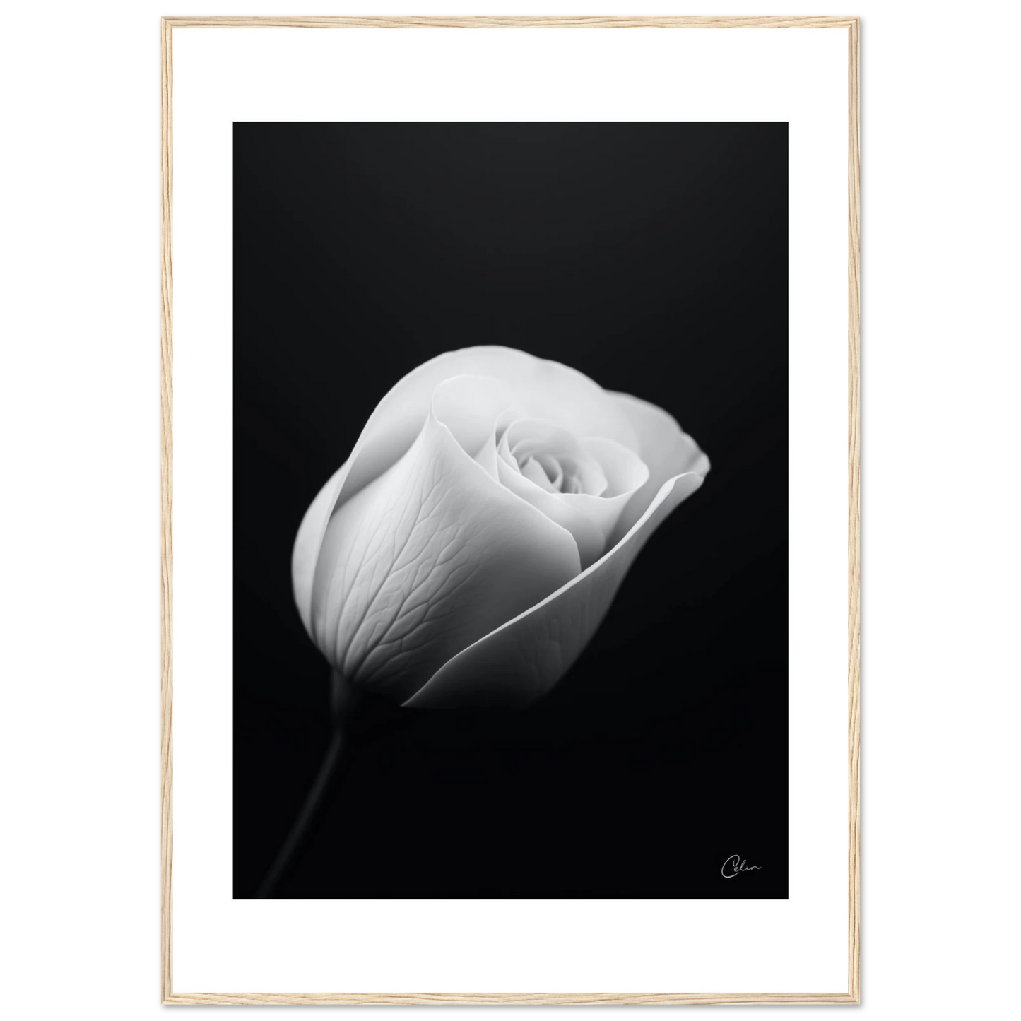 a6f23589-1025-4c95-a3da-4ecfcbc0939e