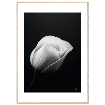 a6f23589-1025-4c95-a3da-4ecfcbc0939e