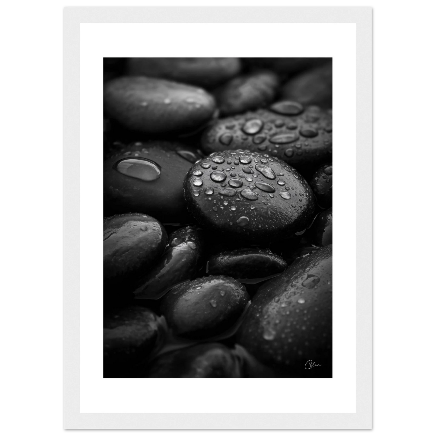 abd3a3dc-2756-4093-b7e7-5bb575e89b3c