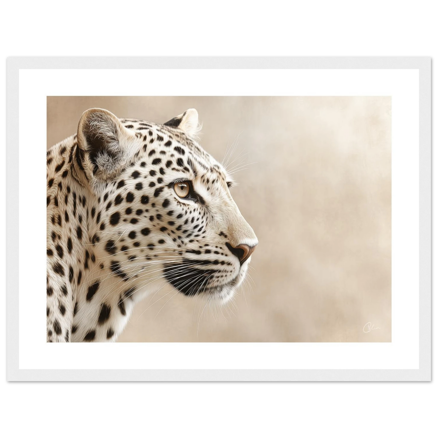 ad2afe36-b94c-47d8-96ce-38024e97fd7f