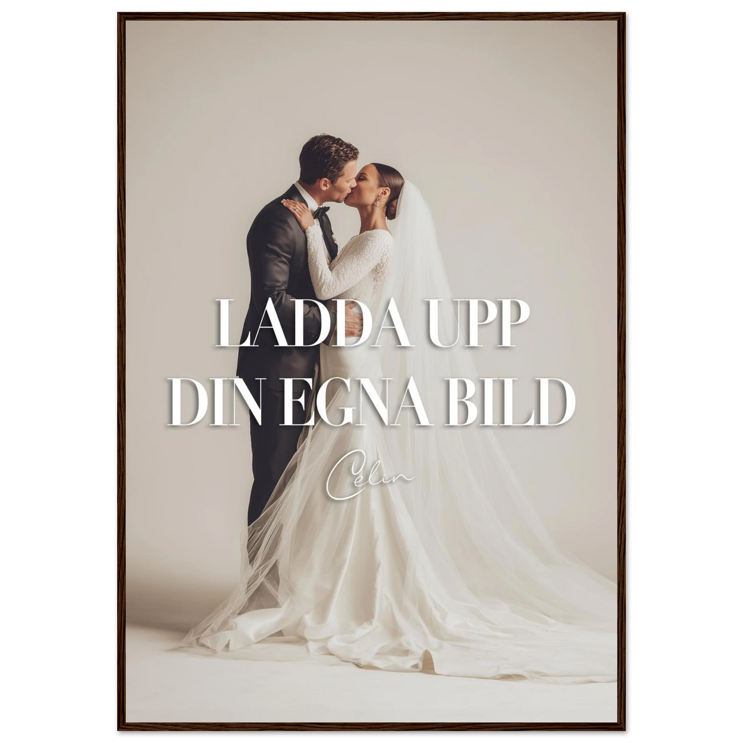 ae709622-9f2d-451d-b0c5-e2419c5bc075