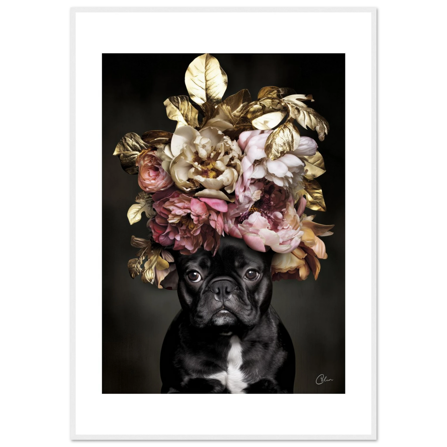 b2cd53ec-83a1-43aa-b615-a871b6a056b0