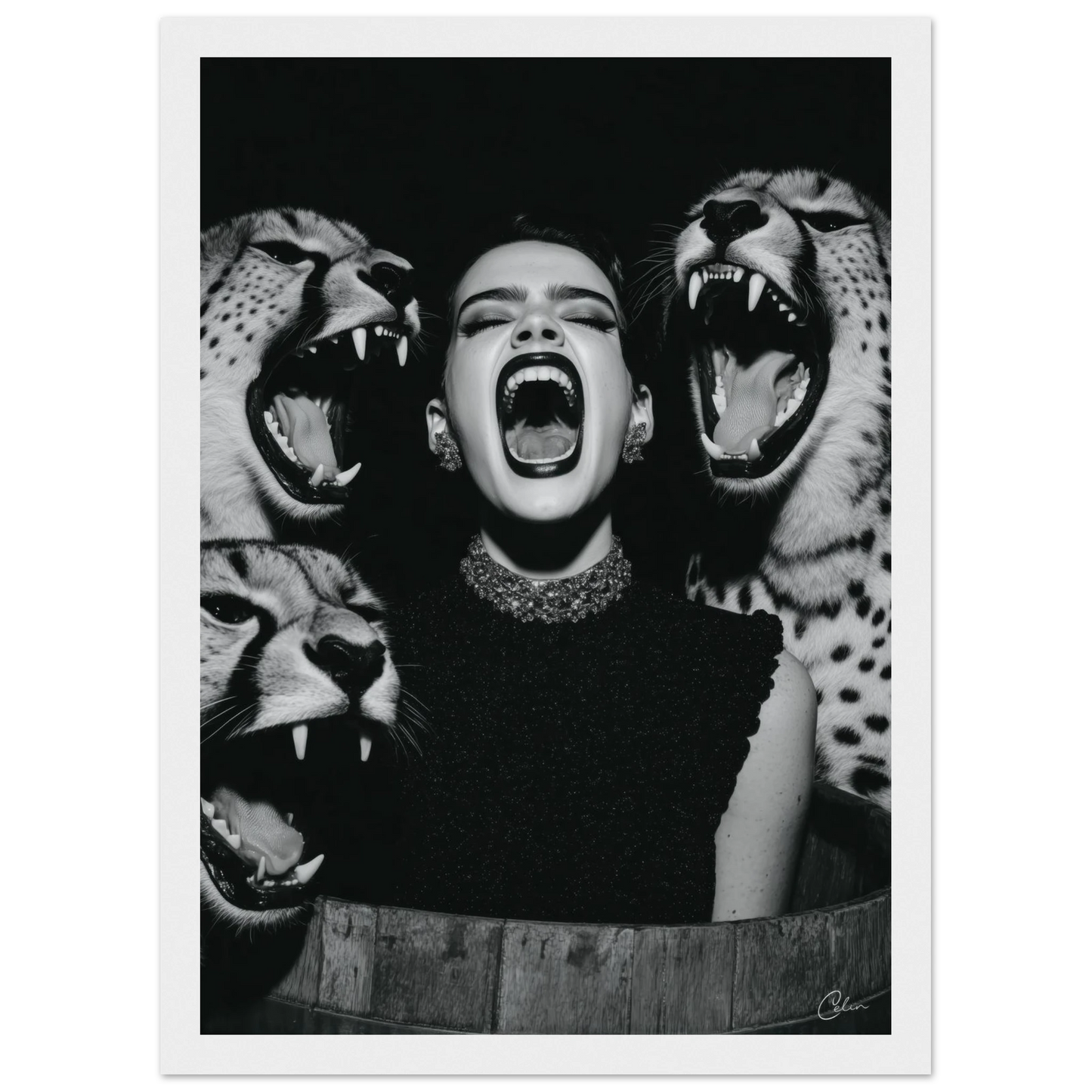 b2d677bc-e226-4f1a-a392-0dfeeb88ca29