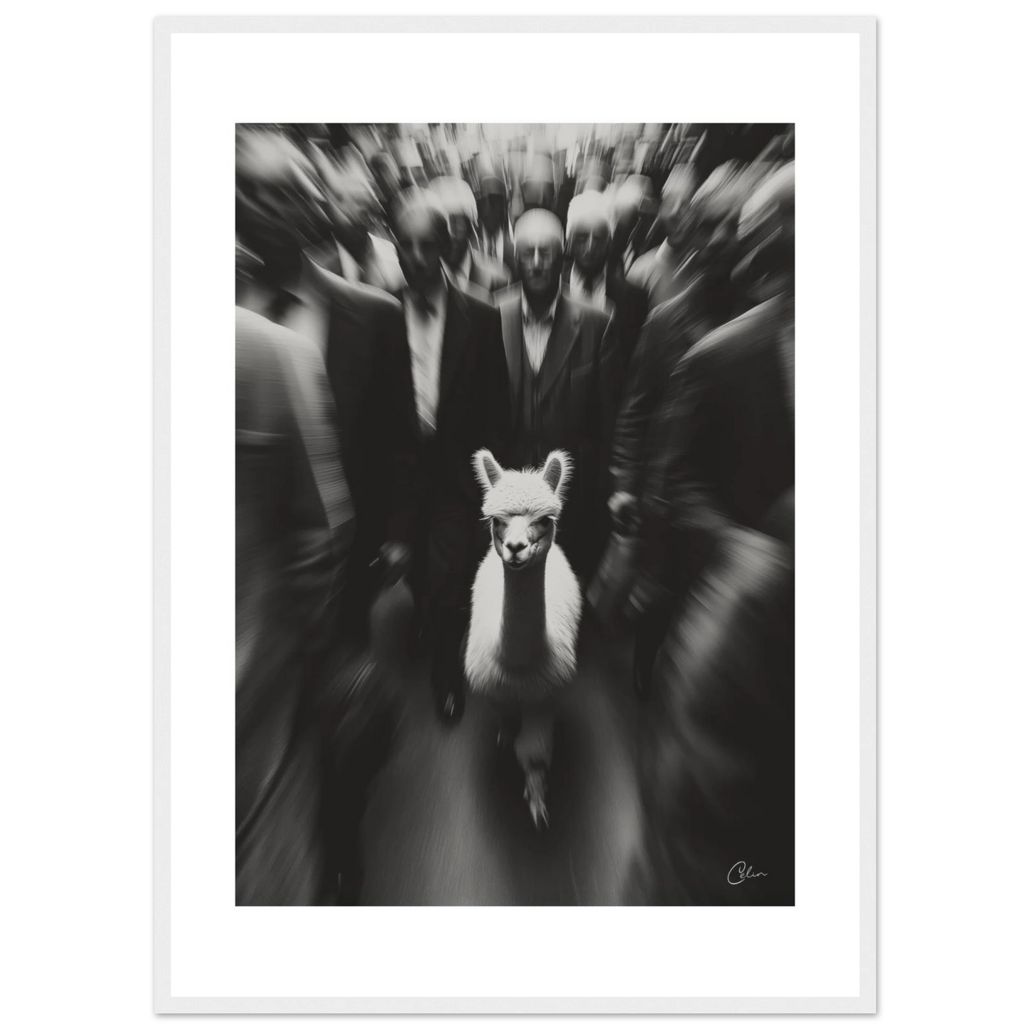 b4206797-e700-4789-b3b1-37cd3f41e498