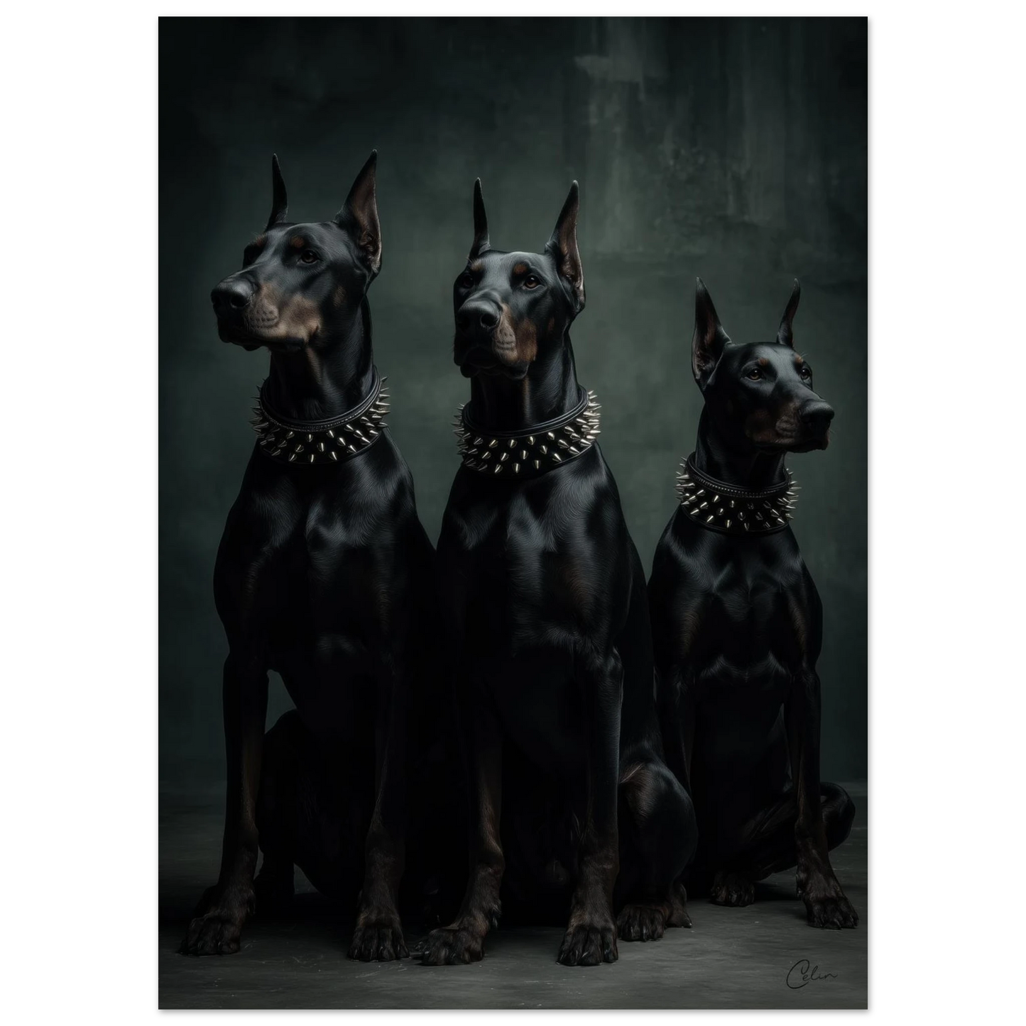 b52ccc58-5010-4d40-83a9-a5667b74c3df