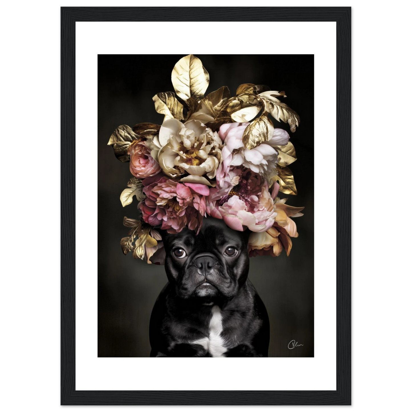 b62d5480-eec3-441e-a27a-03f287258166