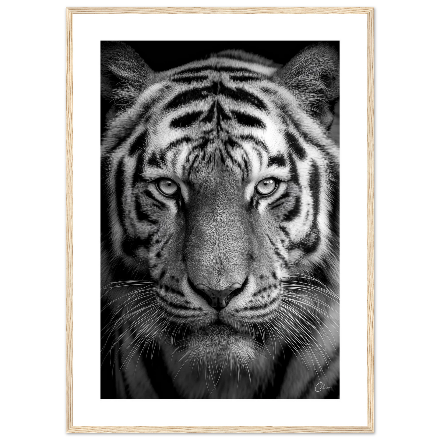 b6d3e228-84bb-44cc-b721-021b3cdf8de0