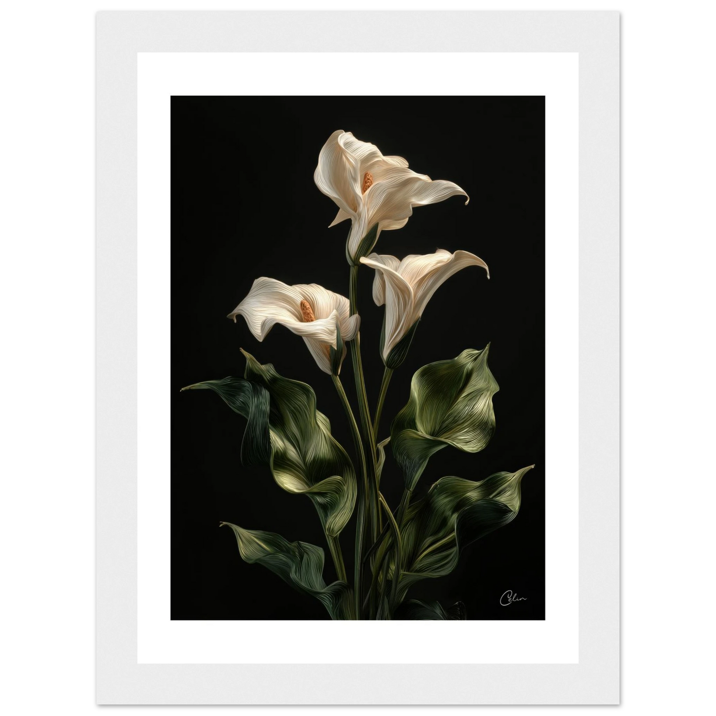 b787d821-952b-46ef-859c-c99727042c7a