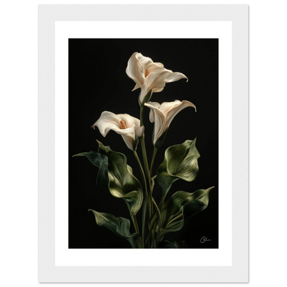 b787d821-952b-46ef-859c-c99727042c7a