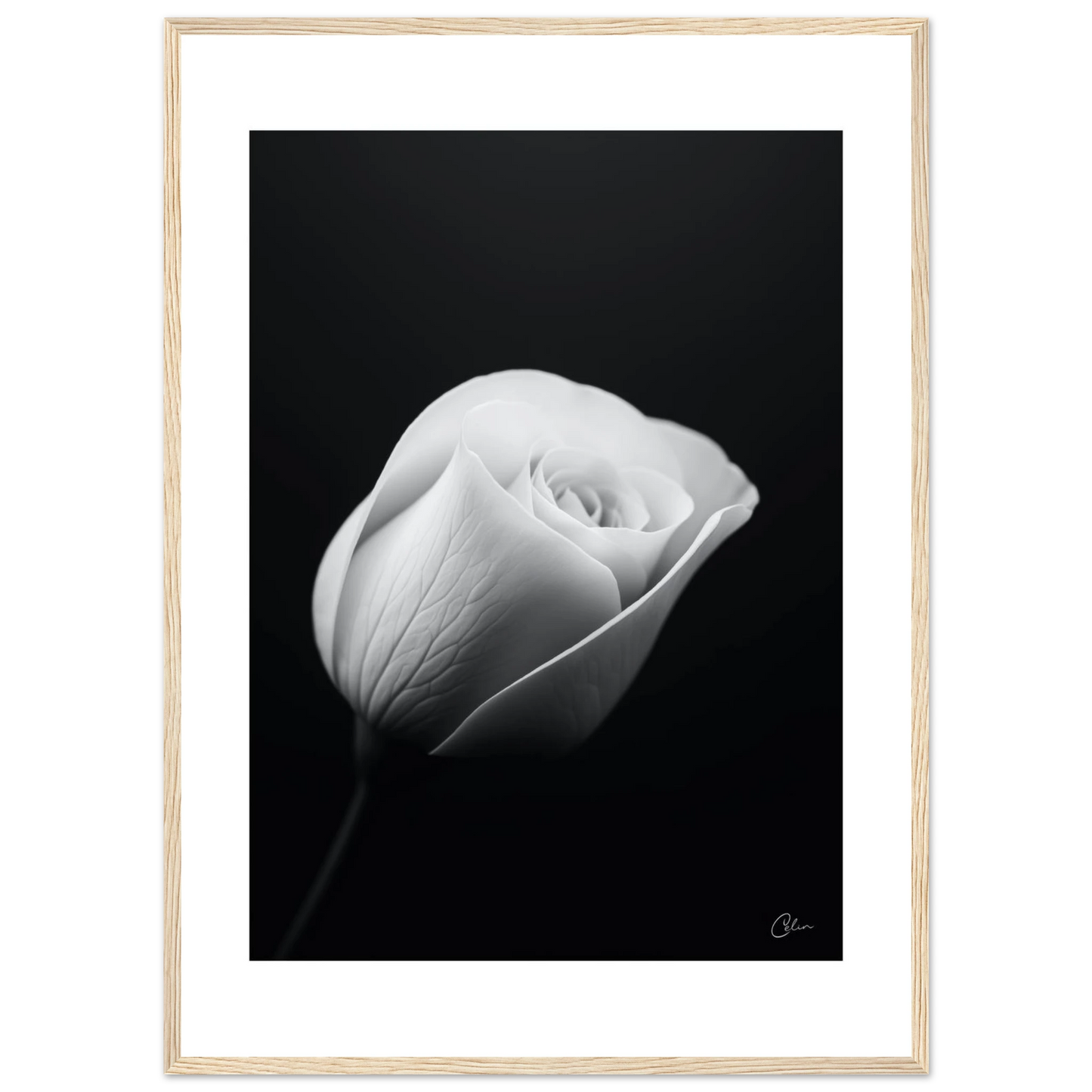 b8df081c-fd01-4039-925e-8f0c7f2133d4