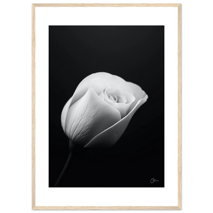 b8df081c-fd01-4039-925e-8f0c7f2133d4