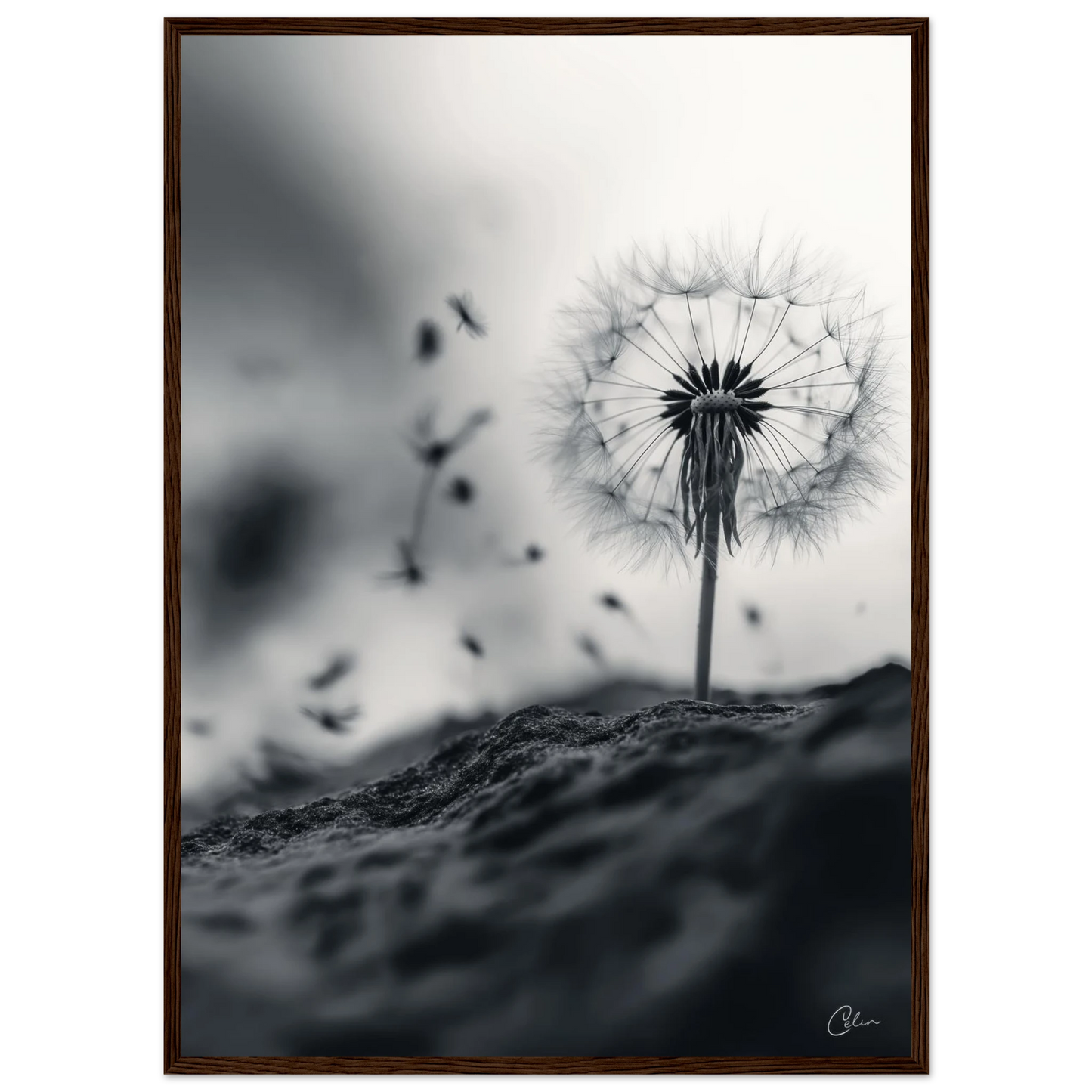 bb27ccda-08c8-40bd-bd5e-6136a6a07ac7