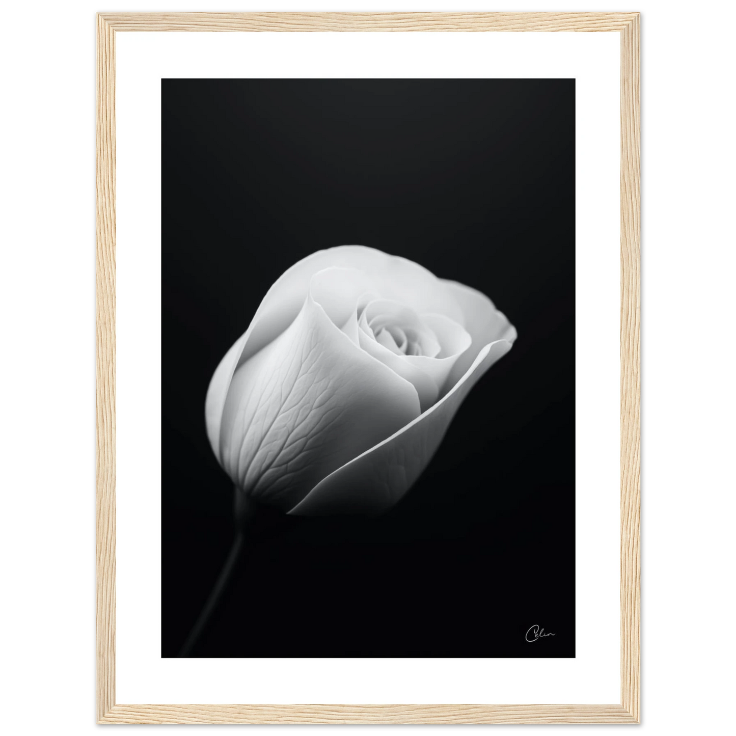 bd3b95f7-0af6-4383-af37-acbae15b03d3