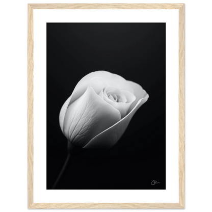 bd3b95f7-0af6-4383-af37-acbae15b03d3