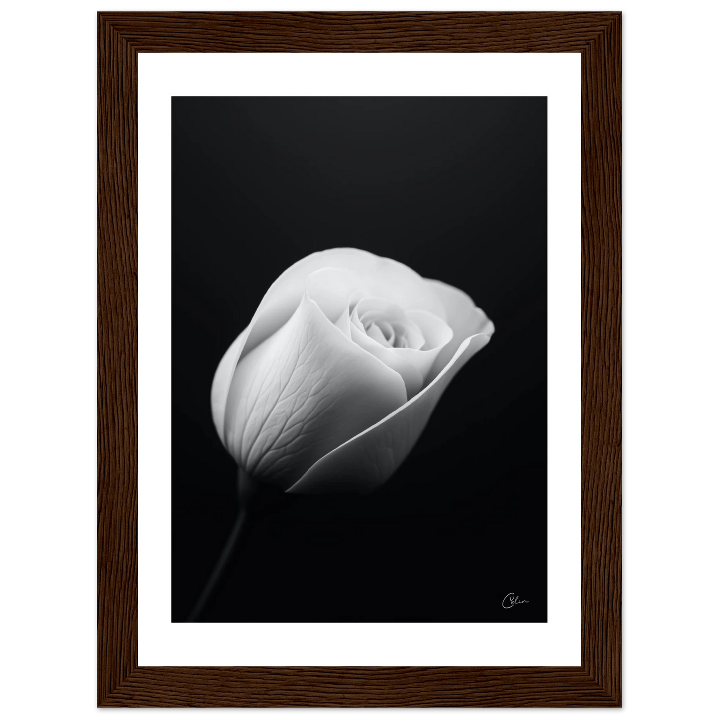 be07ce0a-9069-4ac6-8fea-0c118bf67718