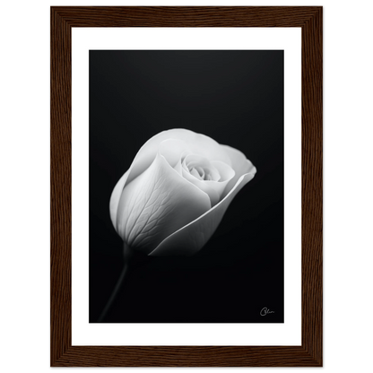 be07ce0a-9069-4ac6-8fea-0c118bf67718