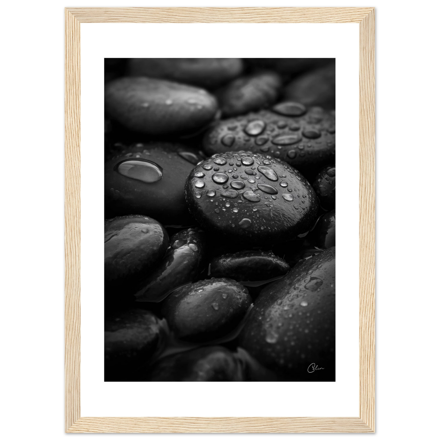 c1636ea0-121b-42f9-af39-f5b5af8a8196