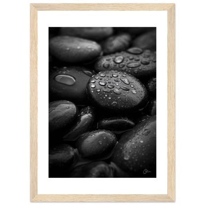 c1636ea0-121b-42f9-af39-f5b5af8a8196