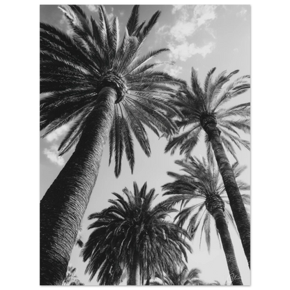 c1f3cddd-a9eb-4297-b93e-cc3898d53e21