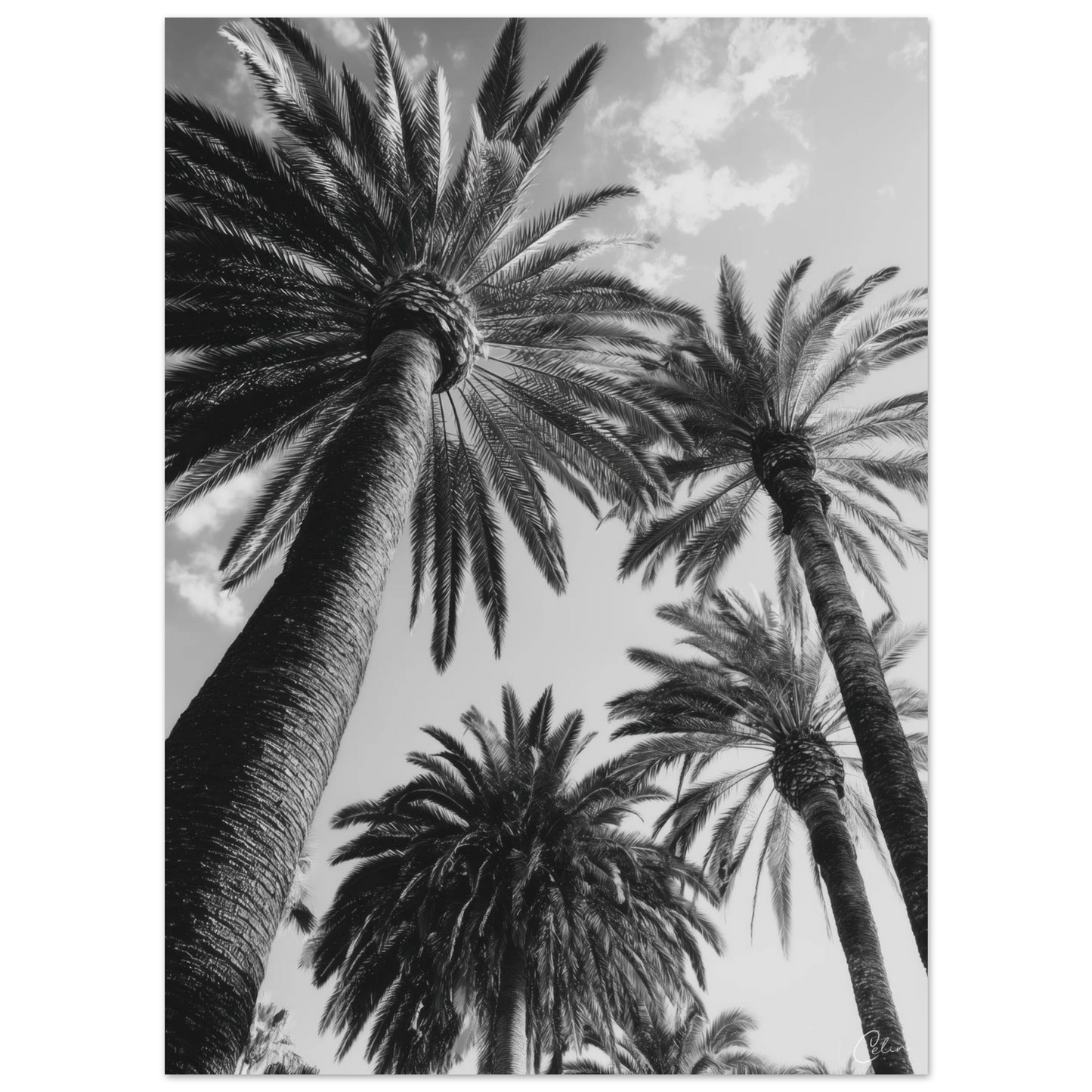 c20838b7-b5b4-4438-bcca-c205714595f9