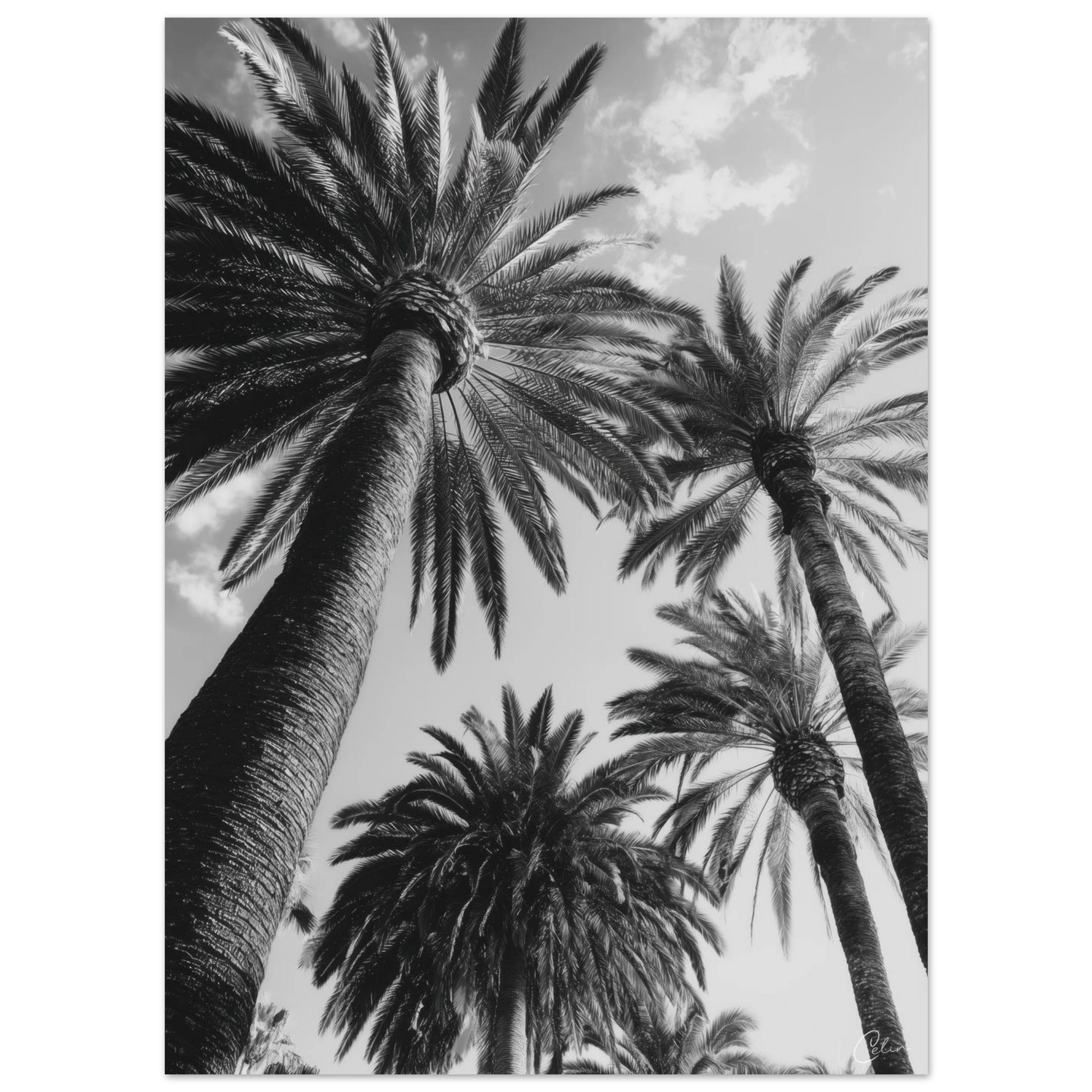 c20838b7-b5b4-4438-bcca-c205714595f9