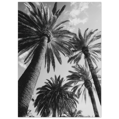 c20838b7-b5b4-4438-bcca-c205714595f9