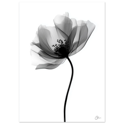 c22bc1f7-488b-4a5c-8e17-3130ca6800ae