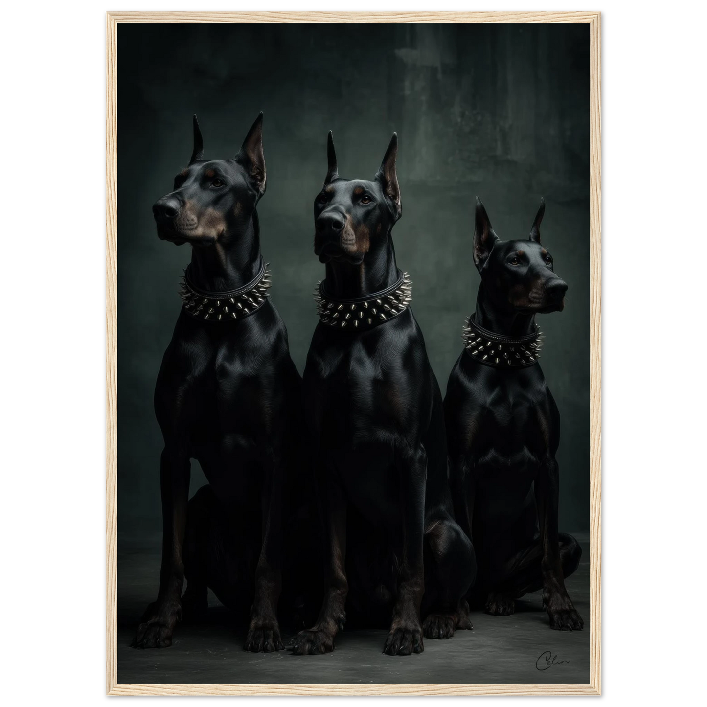 c2b13557-30c6-48d4-8552-f1e93718ceec