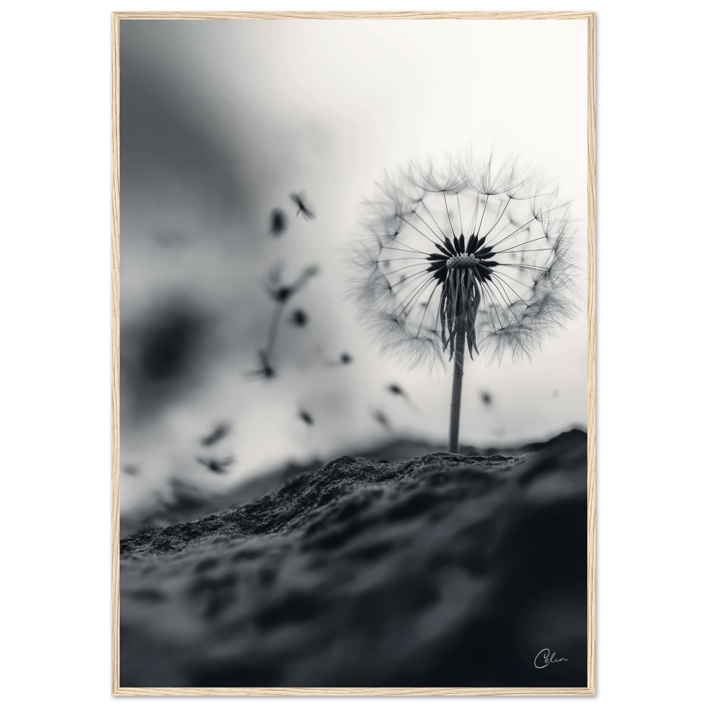 c2b698f9-0990-4a37-bf2d-33ca2989c8b5