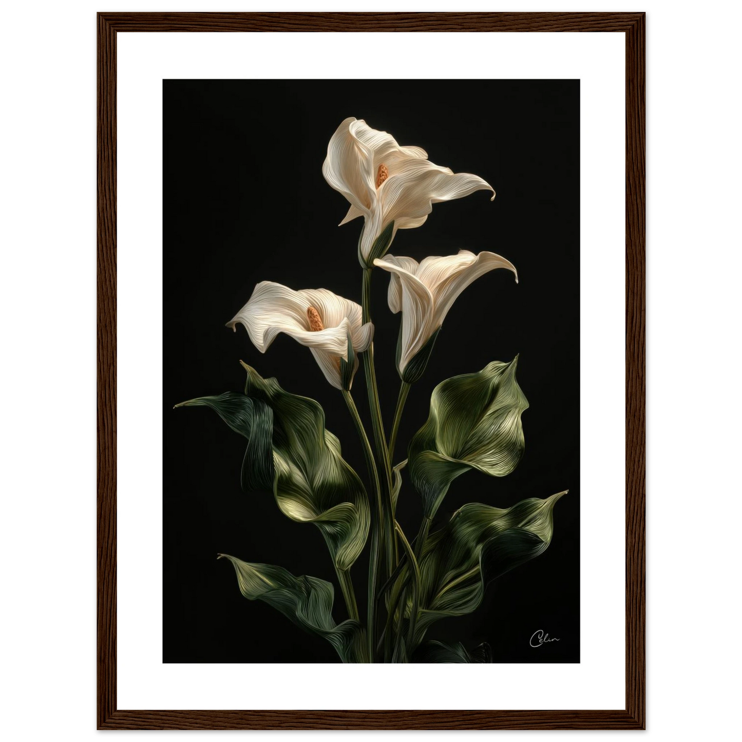 c558ba30-c5e1-4cd9-84b5-adb9279cc25c