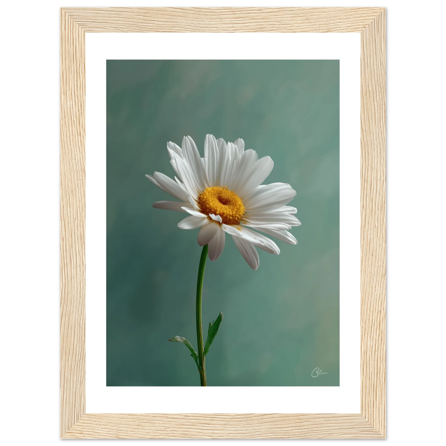 c779601a-71ec-45cf-bd13-84cf077eb045