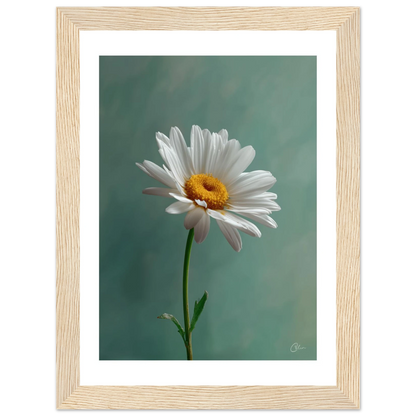 c779601a-71ec-45cf-bd13-84cf077eb045