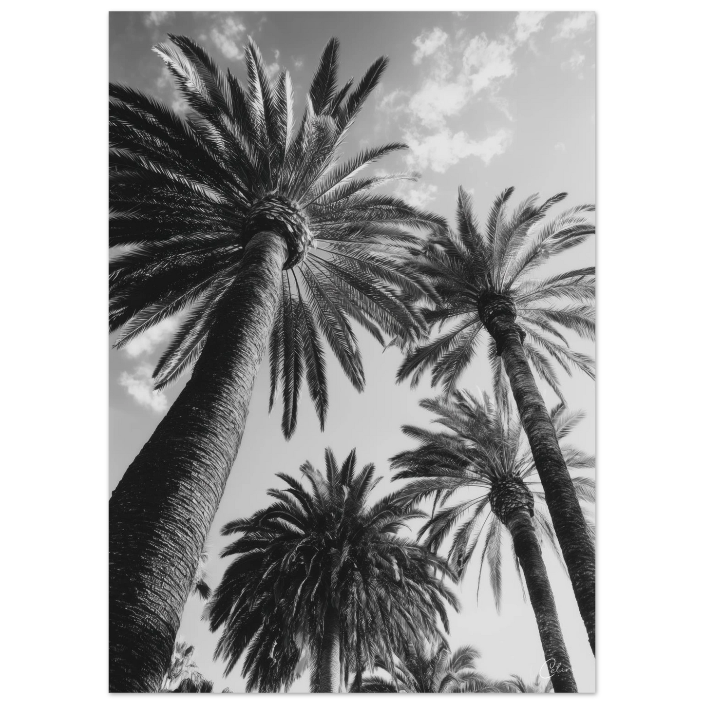 c78e9276-a9da-4f3f-9397-bcb23affc700