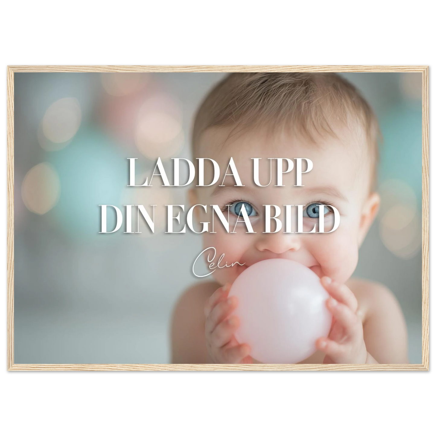 c7f9c9db-694d-4ee8-88f6-5f2244243433