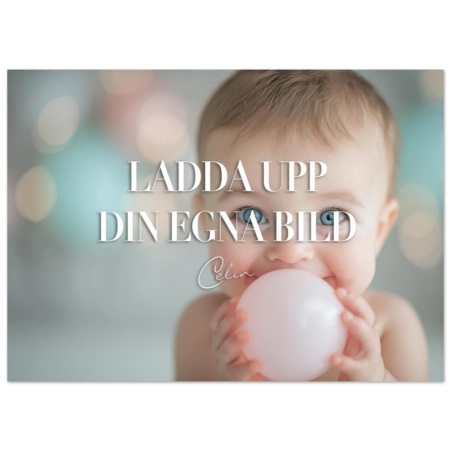 c93af20e-b708-4996-a0a4-b9191c0e957e