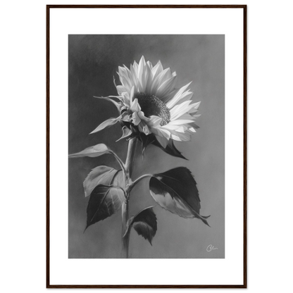 ca2ed1c2-916c-4c77-93fe-4dcc39564682