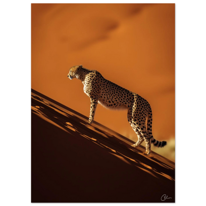 cad2882a-f5fc-44d3-9792-a11c7eb377c5