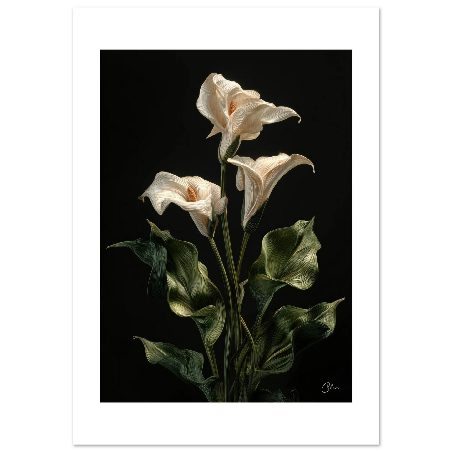 cb48152c-1a3f-458d-90e1-ba6f2a881aec