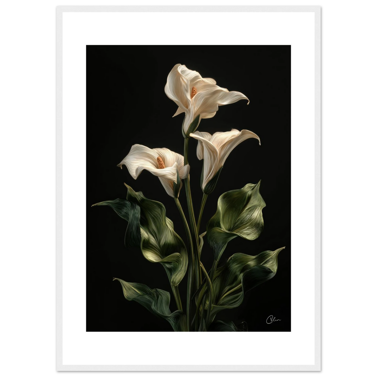 cba62d1b-e5bd-48a6-a594-c3ba97a931ba