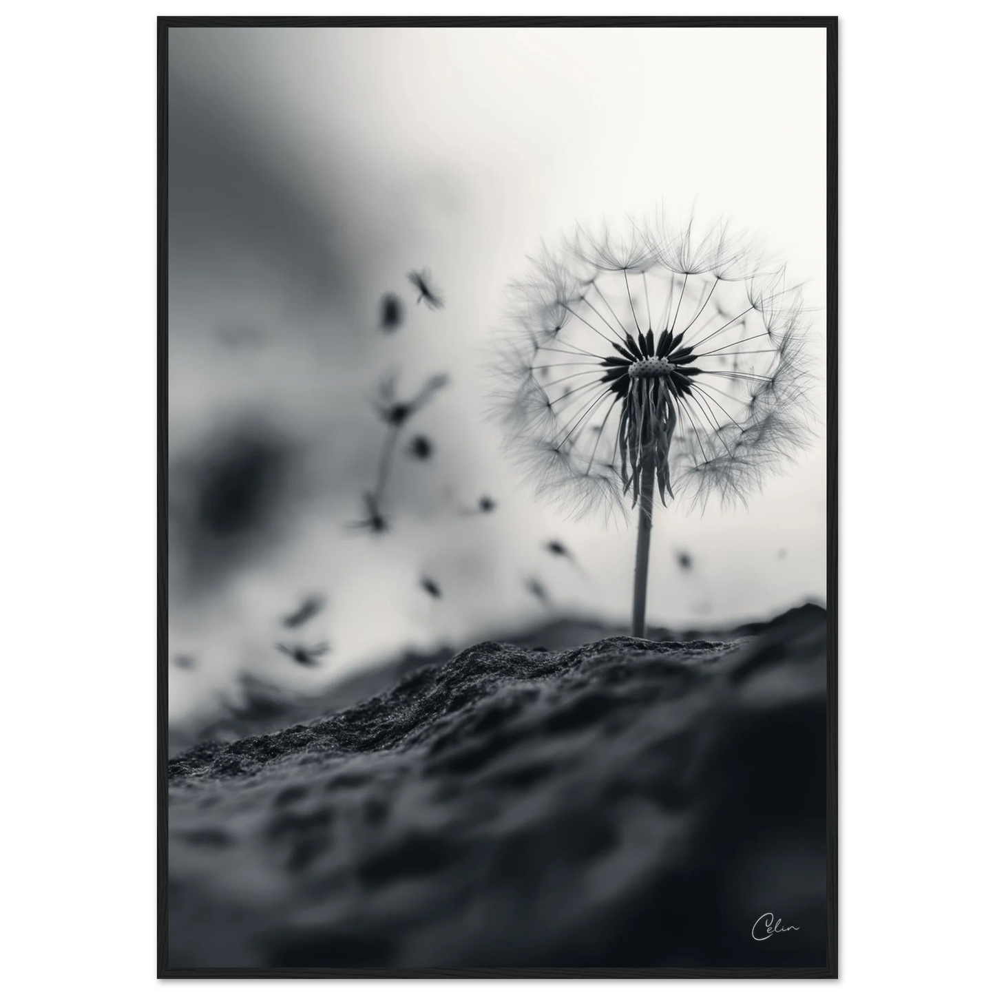 cbedc19c-fbea-4daa-827a-443d1063568f