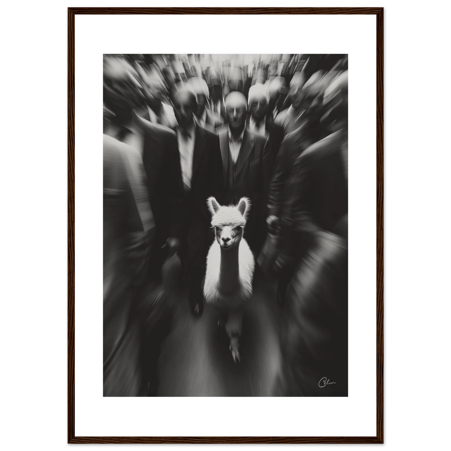 cc05fb57-f006-467d-a356-23de2b6cbe5e